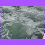 Water 4.jpg